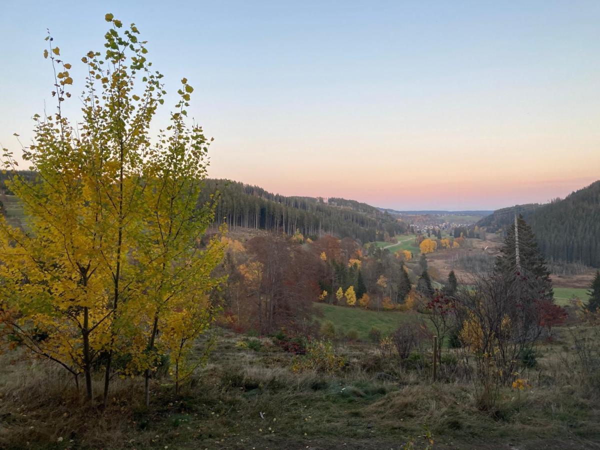 Ferienwohnung Am Hirtenpfad Ленцкирх Экстерьер фото