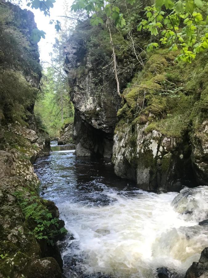 Ferienwohnung Am Hirtenpfad Ленцкирх Экстерьер фото